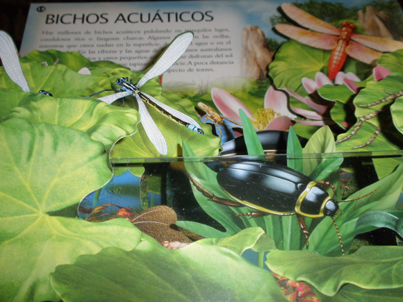 Ilustración de Bichos
