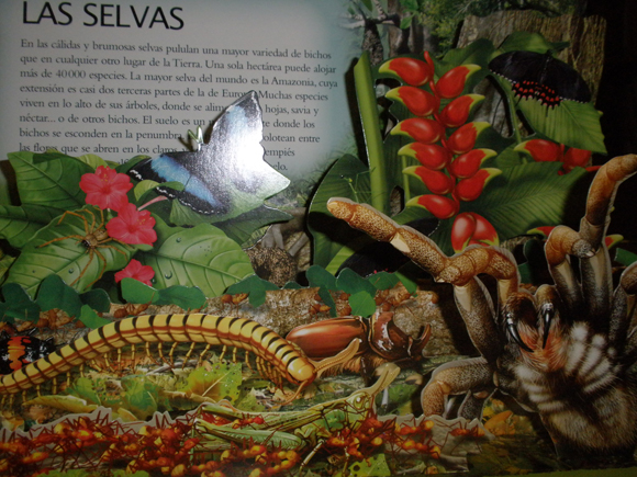 Ilustración de Bichos
