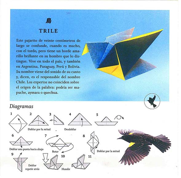 Ilustración de Mi primer origami. Animales de Chile en papel