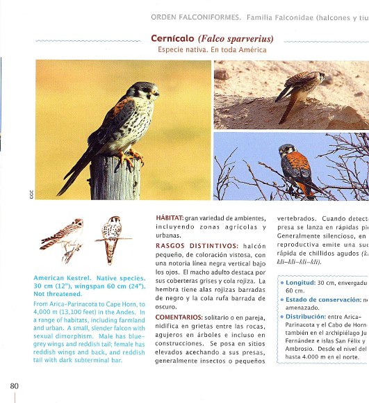 Ilustración de Fauna de Chile: Vertebrados de la zona mediterránea