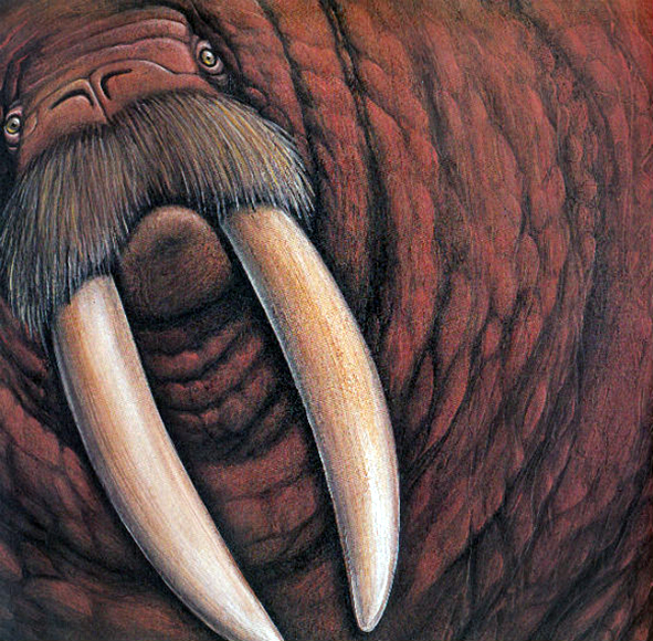 Ilustración de Cuáles animales