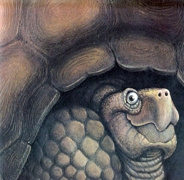 Ilustración de Cuáles animales