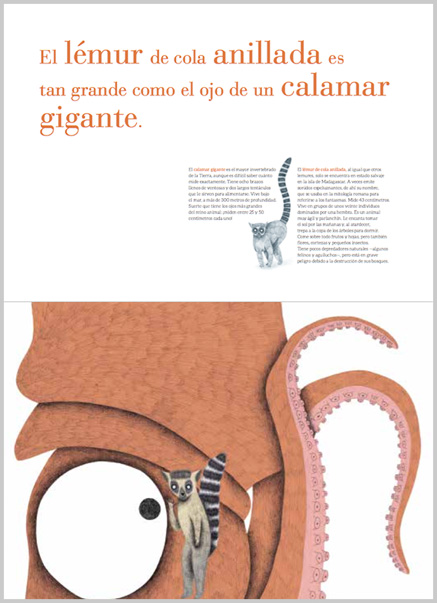 Ilustración de Tan grande como siete osos. Tan pequeño como un colibrí