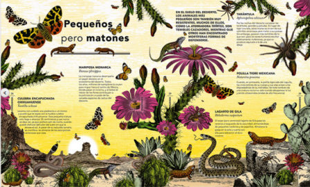 Ilustración de El jardín de las maravillas