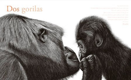 Ilustración de Contar leones