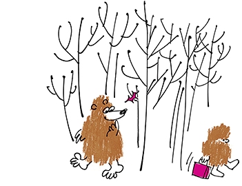 Ilustración de ¡Este oso, no!