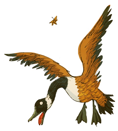 Ilustración de Los gansos