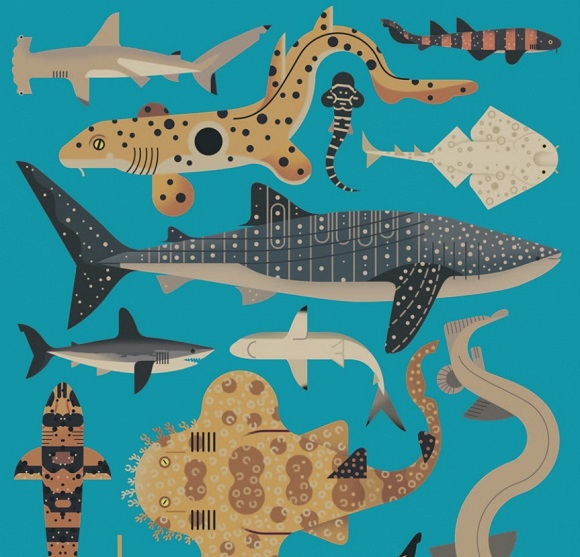 Ilustración de Loco por los tiburones