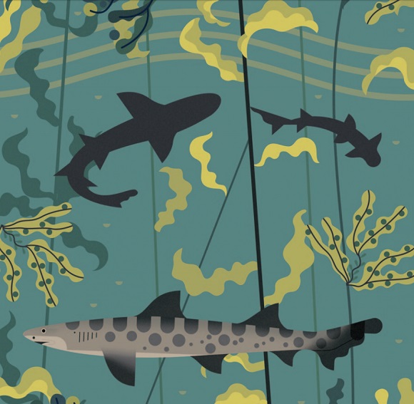 Ilustración de Loco por los tiburones