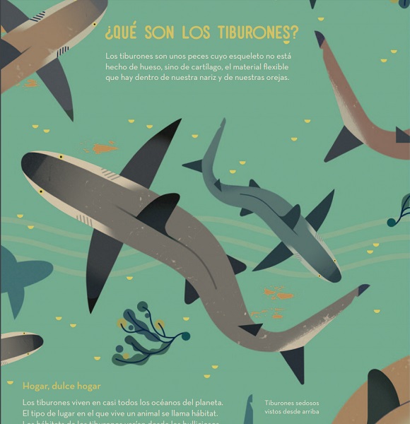 Ilustración de Loco por los tiburones