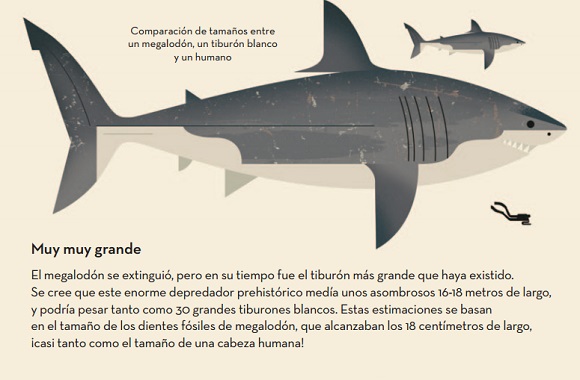 Ilustración de Loco por los tiburones