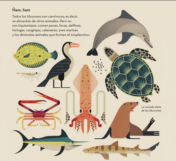 Ilustración de Loco por los tiburones