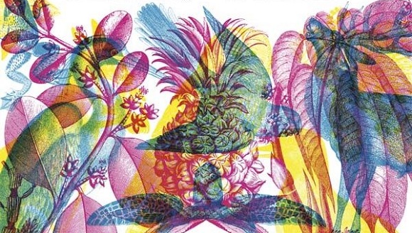 Ilustración de Iluminaturaleza