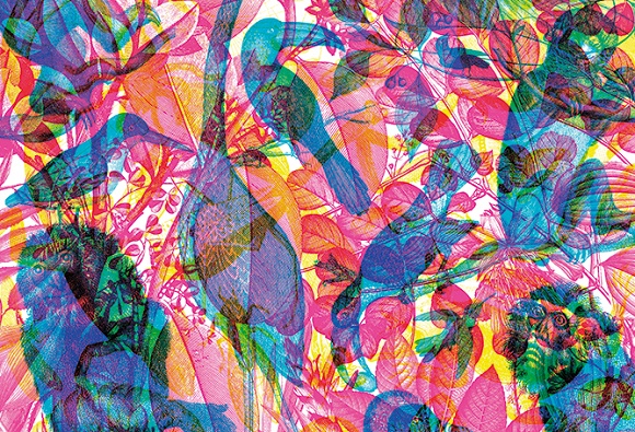 Ilustración de Iluminaturaleza