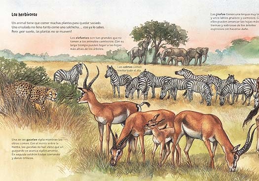 Ilustración de ¿Qué comen los animales?