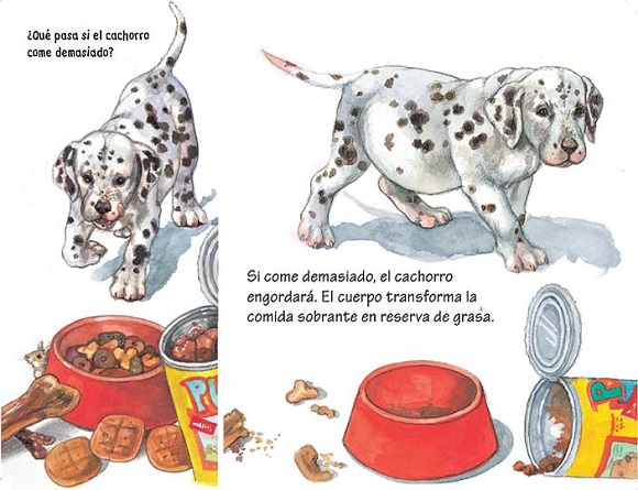 Ilustración de ¿Qué comen los animales?