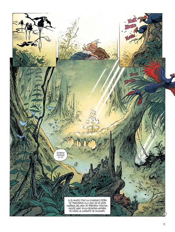 Ilustración de La luz de Borneo