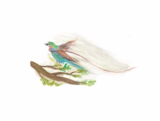 Ilustración de La apuesta
