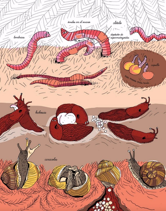 Ilustración de La vida amorosa de los animales
