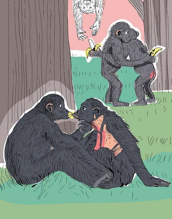 Ilustración de La vida amorosa de los animales