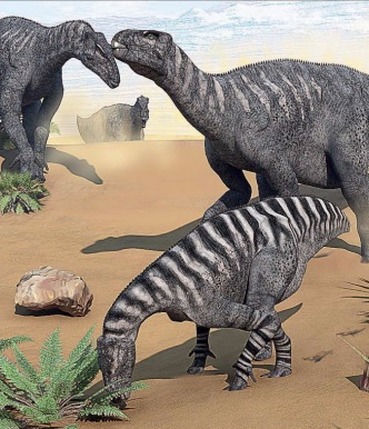 Ilustración de Iguanodonte. Diente de iguana