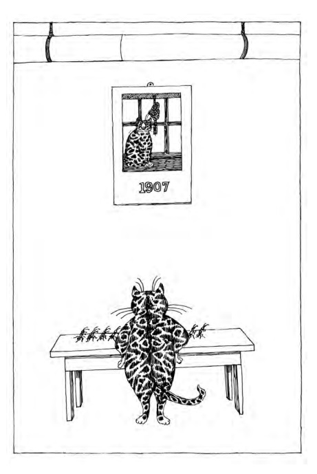 Ilustración de El libro de los gatos sensatos de la vieja zarigüeya