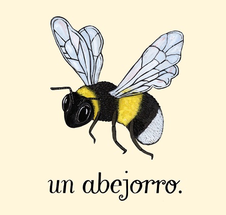 Ilustración de Aquí veo