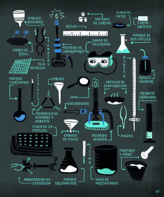 Ilustración de Mujeres de ciencia