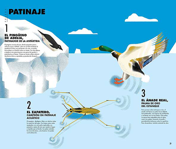 Ilustración de 1.2.3... ¡Ya! Los récords deportivos de los animales