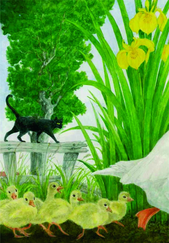 Ilustración de Versos de pájaros