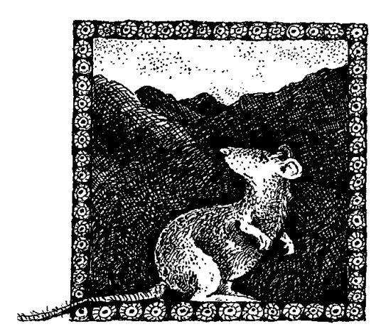 Ilustración de El jinete del dragón