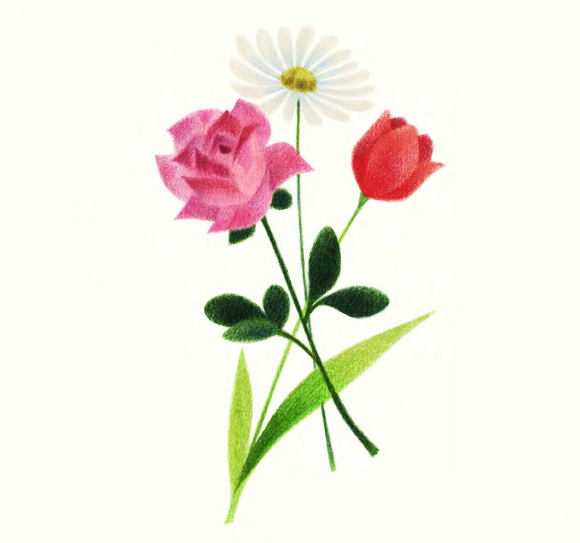 Ilustración de Rosa a pintitas