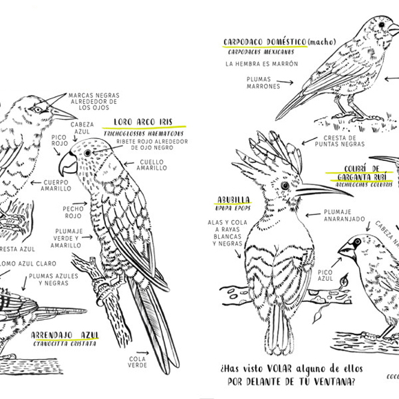 Ilustración de Hola Natura