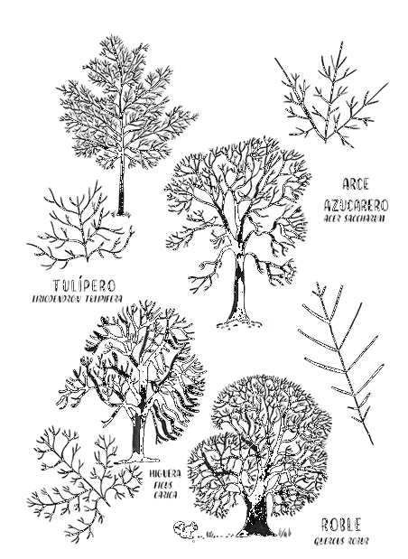 Ilustración de Hola Natura