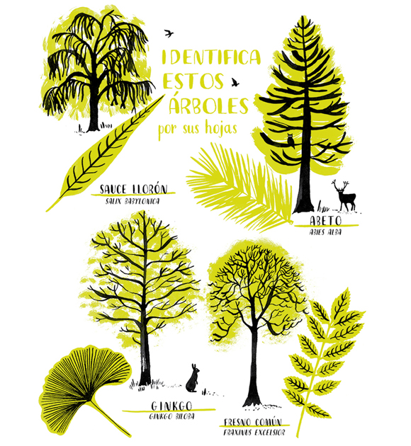 Ilustración de Hola Natura