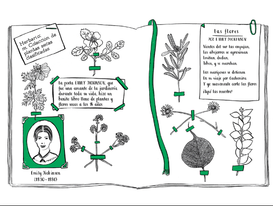 Ilustración de Hola Natura