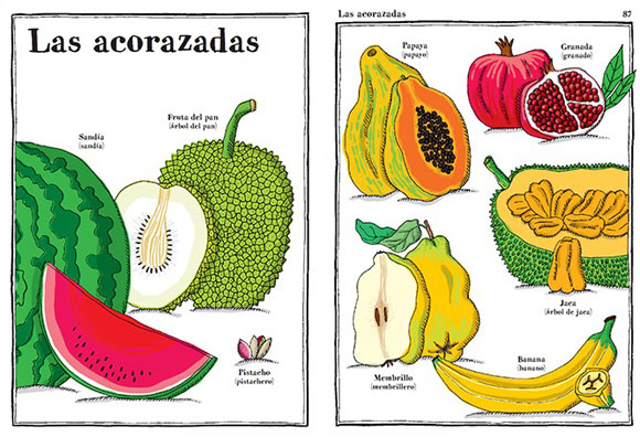 Ilustración de Herbario