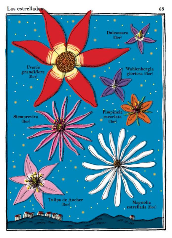 Ilustración de Herbario