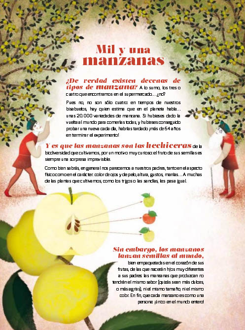 Ilustración de Cuéntame, Sésamo