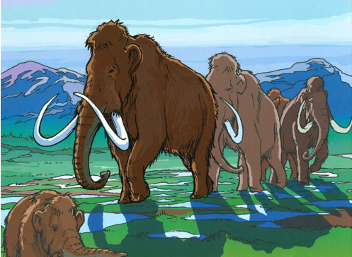 Ilustración de Tigre dientes de sable. Smilodon