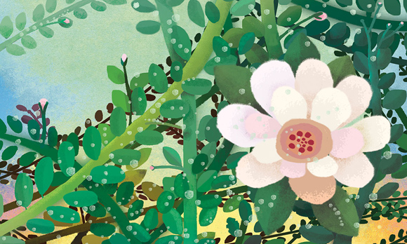Ilustración de Un cuento para ver