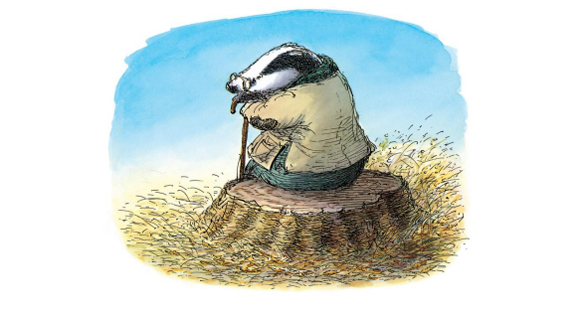 Ilustración de Gracias, Tejón