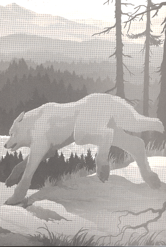 Ilustración de Los lobos del hielo