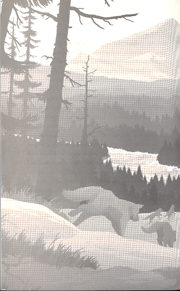 Ilustración de Los lobos del hielo