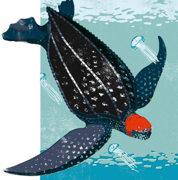 Ilustración de Animales superhéroes