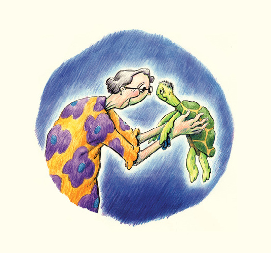 Ilustración de Las tortugas nunca duermen