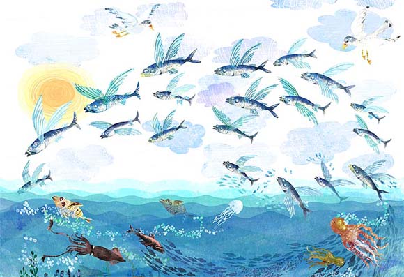 Ilustración de El Gran Libro del Mar