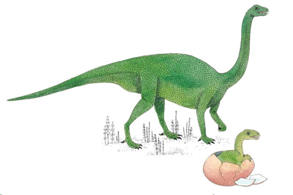 Ilustración de Inventario ilustrado de dinosaurios
