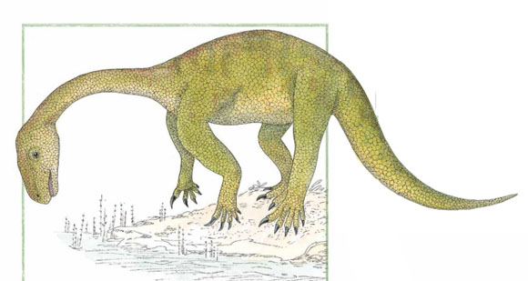 Ilustración de Inventario ilustrado de dinosaurios
