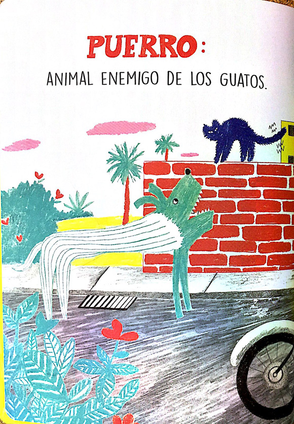 Ilustración de Diccionadario